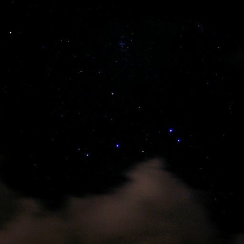 In the Field with Cactus (8/12/17)