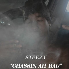 Steezy-"Chassin AH BAG"