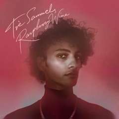Raspberry Wine - Tre Samuels (prod. silentjay)
