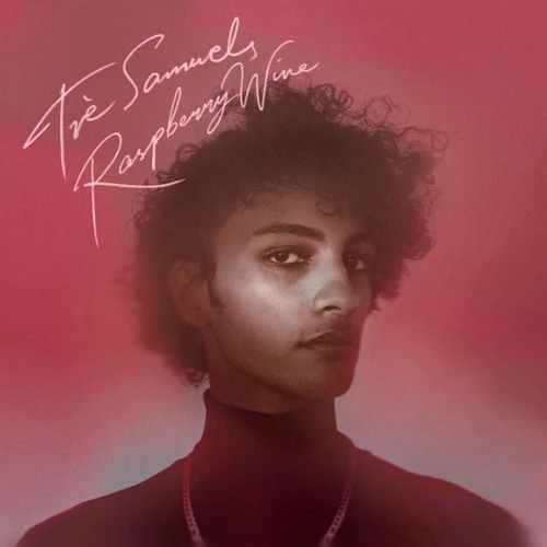 Raspberry Wine - Tre Samuels (prod. silentjay)