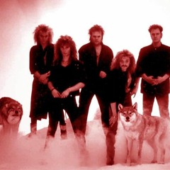 Norden Light, Bite The Dust