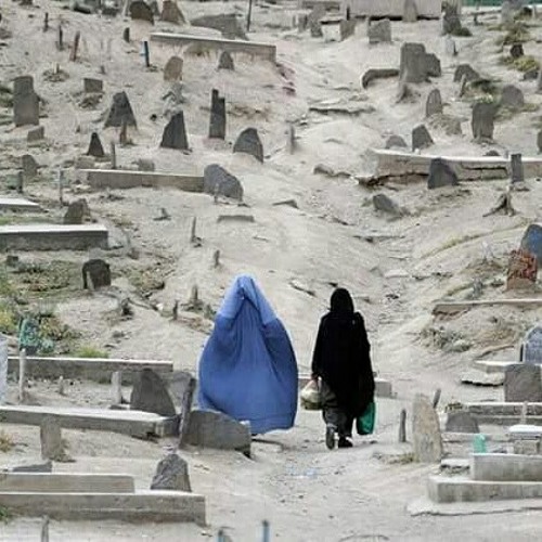 Abdullah muqurai afghanistana kandwalay shway