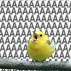 wicked game (chris isaak cover)