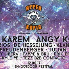 Affenkaefig in & outdoor Festival 12.08.2017