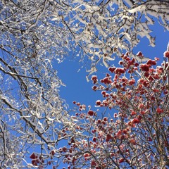 folklores prod. Lord Raden XCI