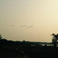 Aji Bangladesher Hridoy Hotey (আজি বাংলাদেশের হৃদয় হতে)- Cover