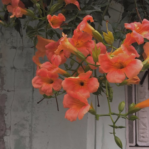 혼자 하는 대화(demo)