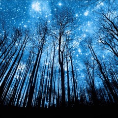 MENDELSSOUND No. 2 (F. Mendelssohn - Wedding March from "A Midsummer Night's Dream")