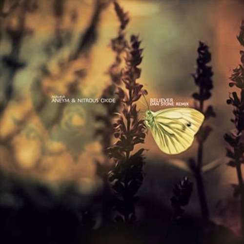 Aneym and Nitrous Oxide - Believer (Dan Stone Remix)