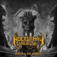 Nocturnal Hollow - Spawn Of The Possessed