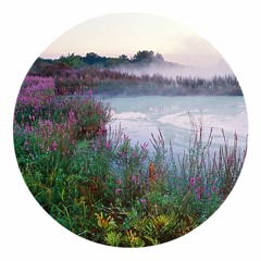 Stream kietsu music | Listen to songs, albums, playlists for free ...