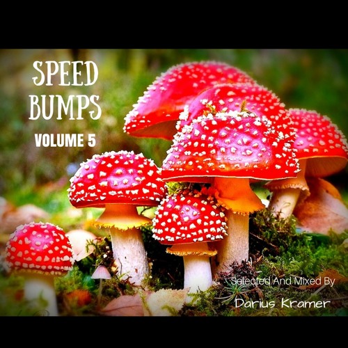 Speed Bumps Volume 5 | Selected and Mixed by Darius Kramer