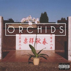 Orchids