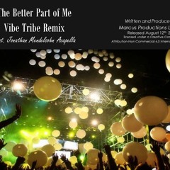 The Better Half Of Me [Vibe tribe Remix feat Jonathan Mendelssohn acapella]