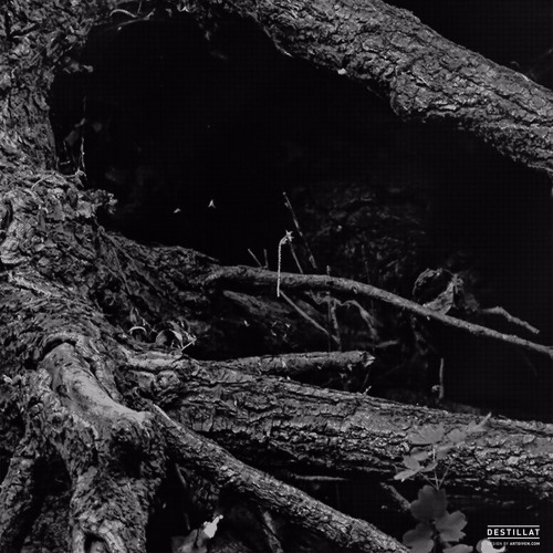 Untitled test