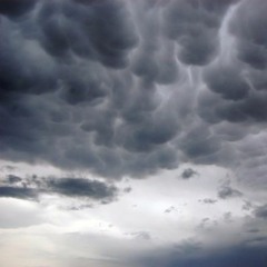 Let Me Out (This Is Not A Song)