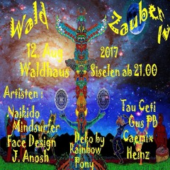 gusPB @ waldzauber IV - 12.8.2017 - djset
