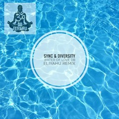 Sync & Diversity Water Of Love dB Eliyahu Remix Pre Master