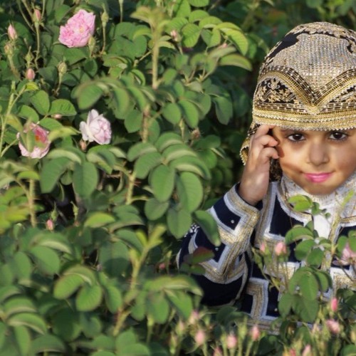 يانسمة الطايف | يحيى لبان