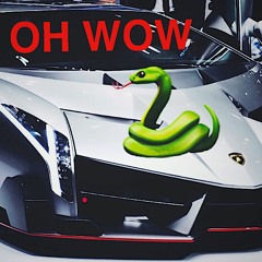 OH WOW (Prod. Hollywood Bangers)