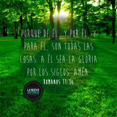 SOLA GRATIA - Maqueta