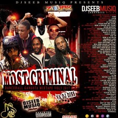 DJSEEB - MOST CRIMINAL GANGSTA MIX VOL5 (VARIOUS DJ DISS)