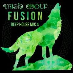 Deep House Music Mix 4
