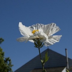 녹턴 [Nocturn](이은미)