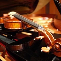 Violin Recording 資料