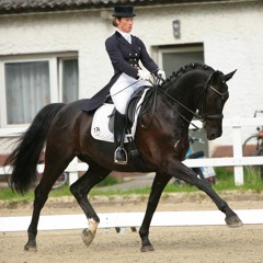 Kür Grand Prix Ausschnitte