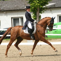 Kür St Georg Nr. 2 Ausschnitte