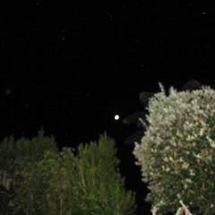 TALA ECSTATIC DANCE2017 - 08 - 14 19h01m16