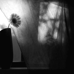 Иосиф Бродский: "В темноте у окна ..." Чтение, аранжировка — Елены Артёменко
