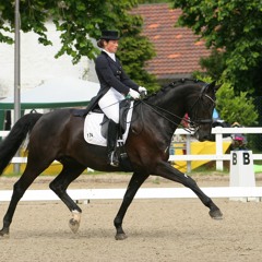 Ausschnitte Grand Prix Kür Coldplay