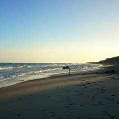 Debina - Morze Bałtyckie - Fale na brzegu - Baltic Sea - Waves on the shore