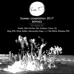 LT002C - Summer Compilation 2017 REMIXES
