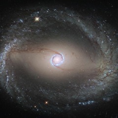 Strangers In The Night: Los Bastoneros