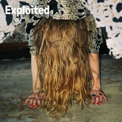 GHEIST - Kolibri | Exploited