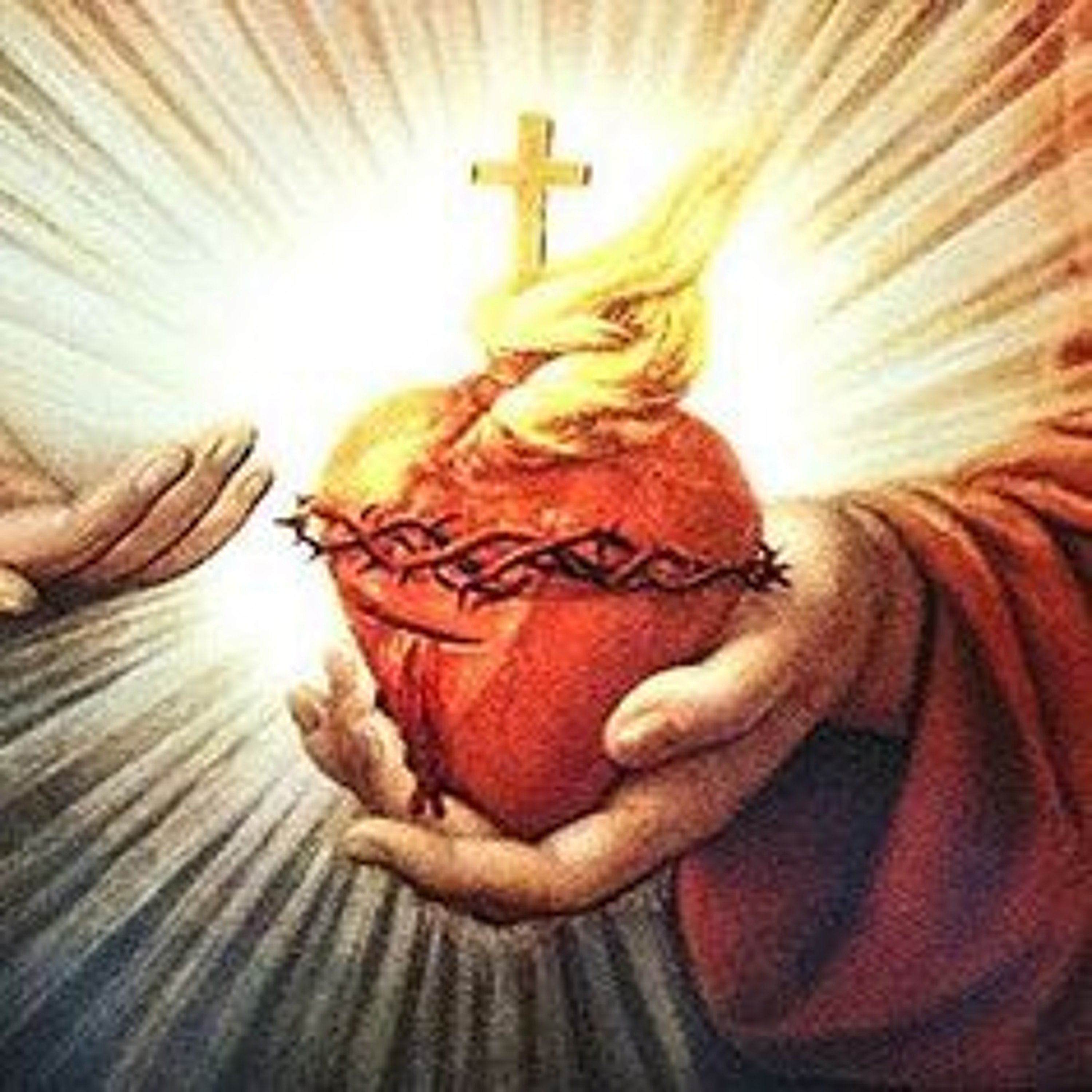 Hiding in His Heart - Homily for August 13 episode artwork