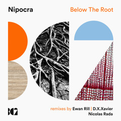 Nipocra - Below The Root (Original Mix)