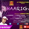 Haarigali ¦¦ Brand New Odia Song ¦¦ Lt Production Premier Mp3