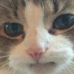 ッ