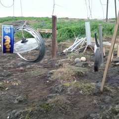 permaculture jam session