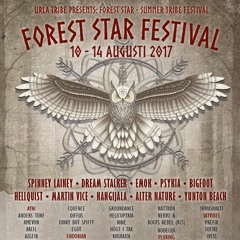 Diffus - ForestStar Festival 2017 Live
