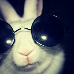 White Rabbit
