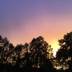 Sample Session Nineteen