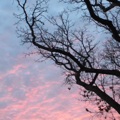 Sample Session Twenty