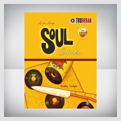 Hip Hop Soul Cuts Audio Loops Excl. Members Pack