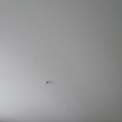 K Da Goon-No Fatigue