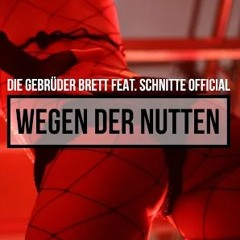 Die Gebrüder Brett - Wegen Der Nutten feat. Schnitte